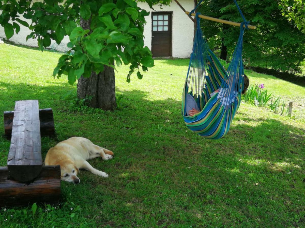 House For Rest And Fun Jeka Apartment